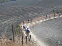 MTBTOSCANA2011  (385)